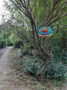 Montys Riverside View Resort