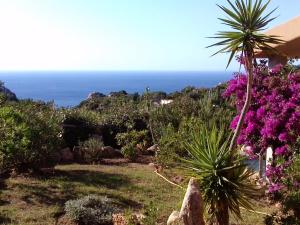 Villetta Rocchi - Costa Paradiso