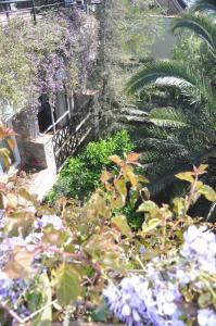 El Vino Hotel & Suites