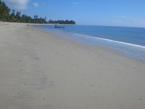 Hibiscus Beach House
