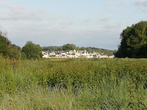 La Sterne de Loire Charming House photo 21