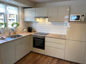 S&P Mountain View Apartment 1