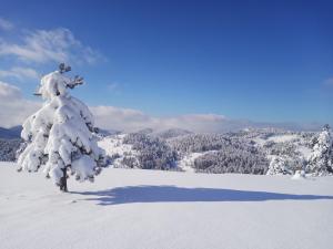Planinarski dom "Tornik" Zlatibor