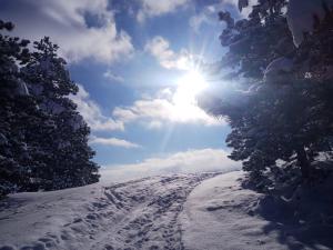 Planinarski dom "Tornik" Zlatibor