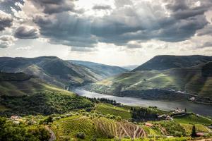 Vineyard and Views Exquisite Luxury Douro Villa with Sun-Drenched Infinity Pool