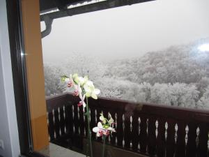 Holiday Home Češnovar