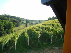 Holiday Home Češnovar