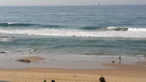 202 Ipanema Beach