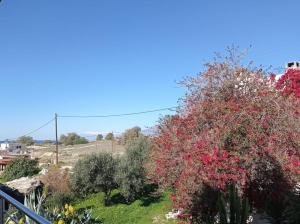 Spyros Apartments with Pool Heraklio Greece