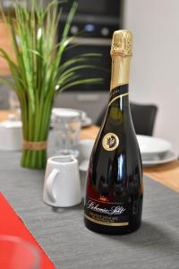 Apartmány Sunny Lipno