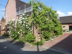 Maisons d'hotes Aux Herbes Hautes : photos des chambres