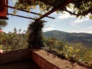 ANTICO CASALE TOSCANO B B
