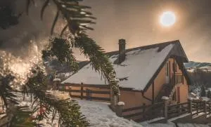 Forest Paradise - four bedroom villa - Kolašin