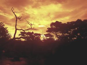 636 Itaga Safari Lodge, Mabalingwe Nature Reserve