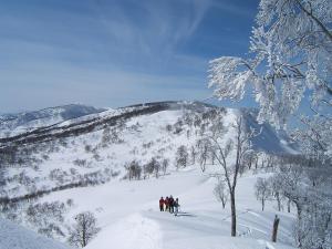 Togari Onsen Alpen Plaza