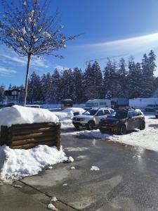 CRANS MONTANA LE REGENT APPARTEMENT