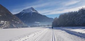 Ferienhaus Alpenroyal