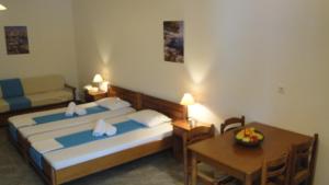 Studio (3 Adults)