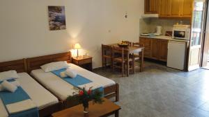 Studio (3 Adults)