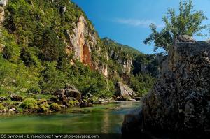 Hotels Hotel du Vigan : photos des chambres