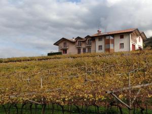 Agriturismo Maso Grener