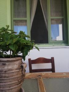 Eva's Family Studios-Eco Friendly Patmos Greece