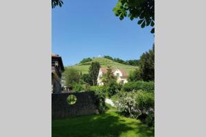 Welcome to enjoy Maribor ! 