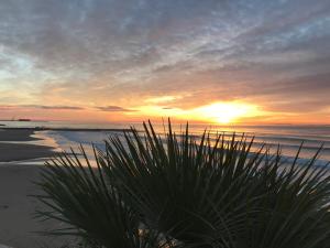 Apartamentos Playa D y G