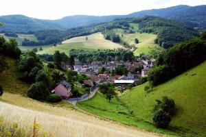 B&B / Chambres d'hotes B&B La Cle d'Alsace : photos des chambres