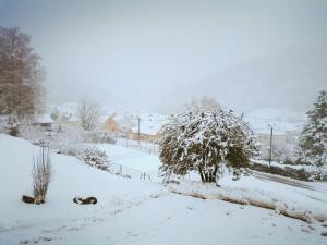Chalets La cle des champs : photos des chambres