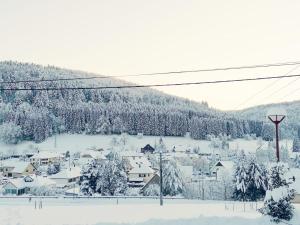 Chalets La cle des champs : photos des chambres
