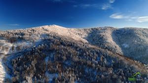 Domki Beskid