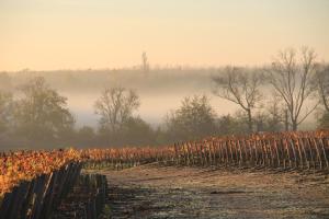 CHASSE-SPLEEN Les Chambres photo 12