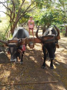 Pura noche - El Elote