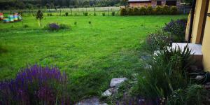 Pszczeli Ogród - agroturystyka