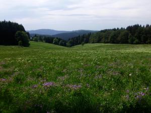 Double Room room in Hotel Pension Fernblick