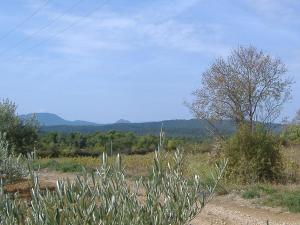 Maisons de vacances Detached home near the truffle capital of Aups : photos des chambres