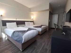 Family Room room in Hotel Temizay