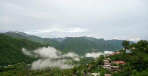 Sparrow Woods Eco Resort