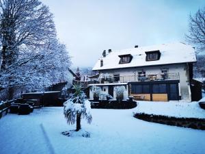 B&B / Chambres d'hotes L'etang de la Tourne : photos des chambres