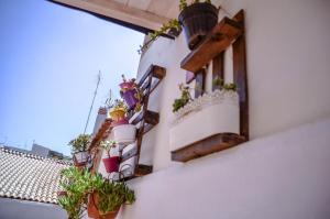 Noera case vacanze siracusa