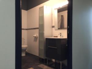 Maisons d'hotes Moulin A : Appartement Deluxe
