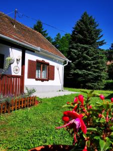 Őrség Kincse Kis Apartman - 4 főre