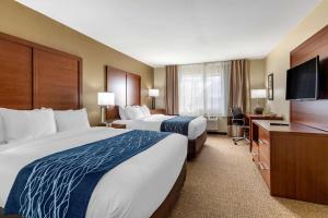 Queen Room with Two Queen Beds room in Comfort Inn & Suites Texas Hill Country