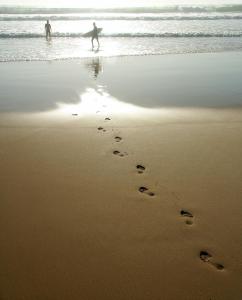 Tiki Villas Rainforest Lodge - Adults Only