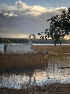 Gulbju māja - Swan house