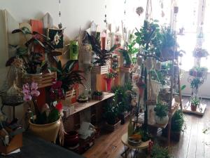 B&B / Chambres d'hotes Les Terrasses de Saillans : photos des chambres