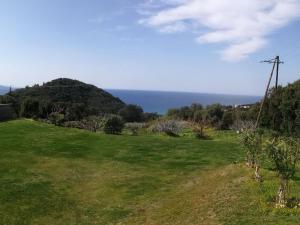 Welcoming villas with swimming pool near Saint-Florent on Cap Corse : photos des chambres