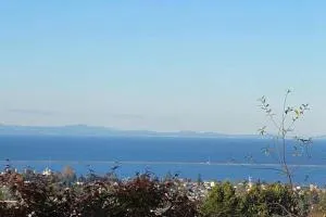 Crash Pad Bed and Breakfast - Little Oklahoma