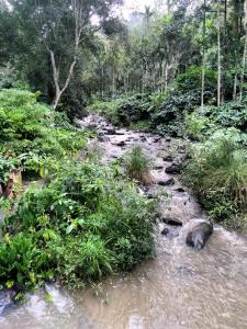 Siderbhan Homestay